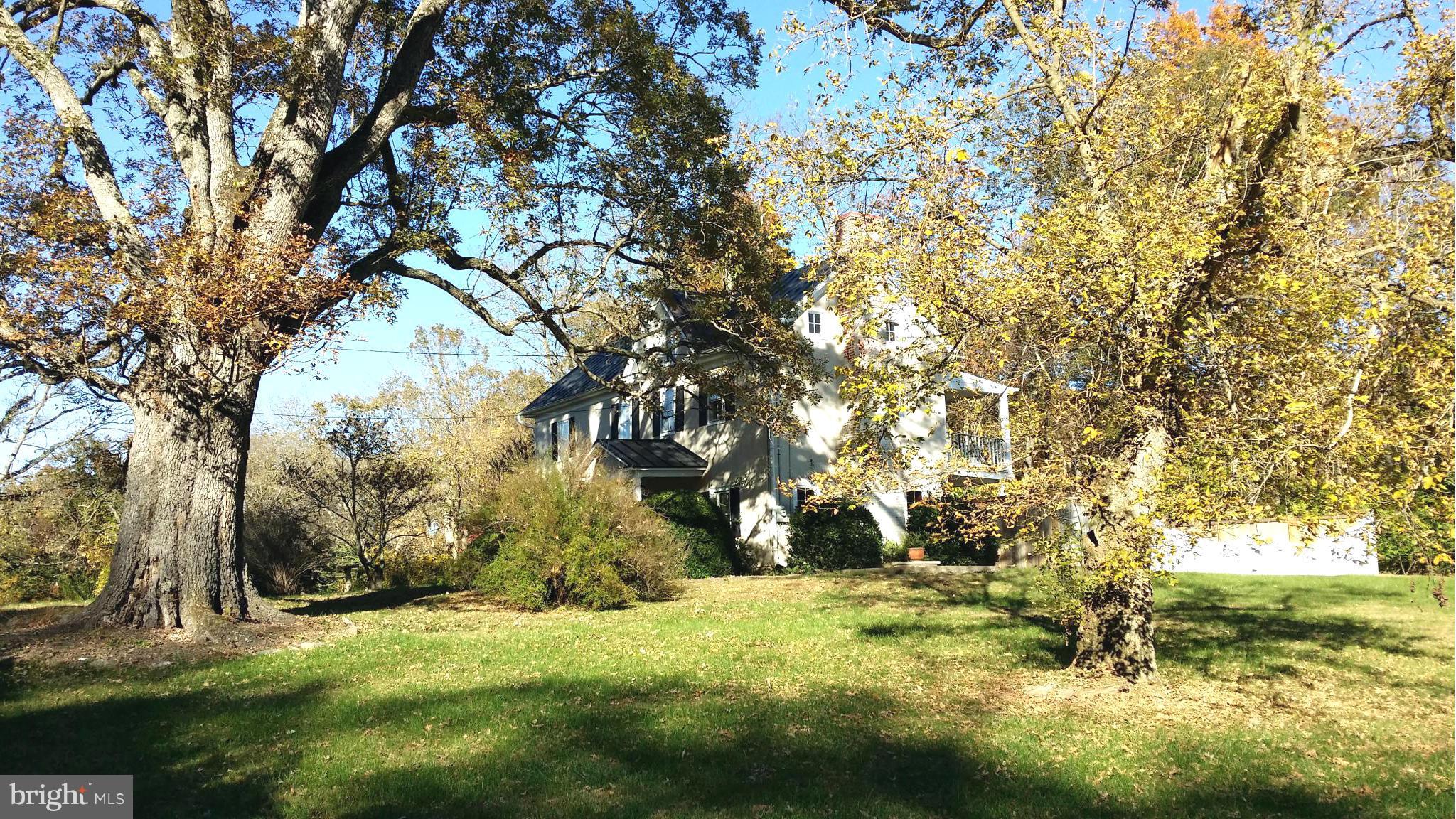 1550 Bishop Meade Road Boyce, VA 22620 - Photo 5 of 24 a view of yard with trees