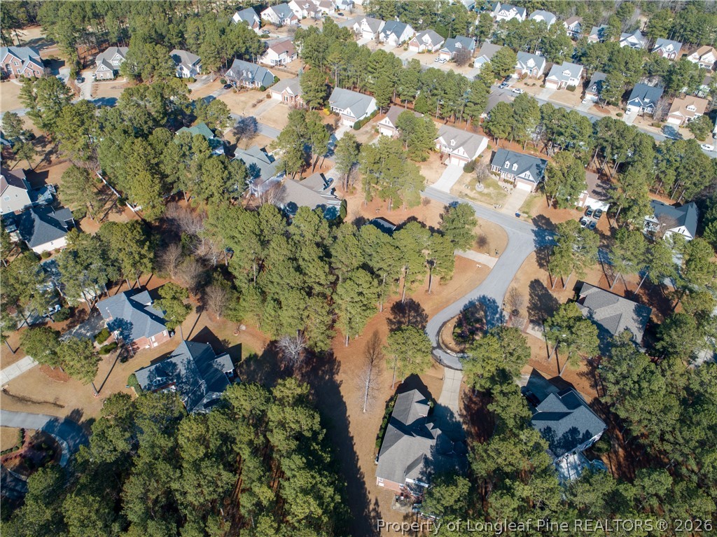 34 Old Pine Court Spring Lake, NC 28390 - Photo 4 of 4 a view of grapes plant