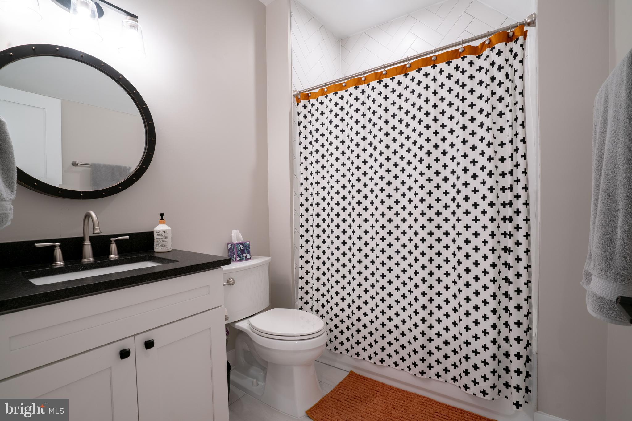 290 Carrs Bridge Road Mineral, VA 23117 - Photo 29 of 101 a bathroom with a sink a toilet and a mirror