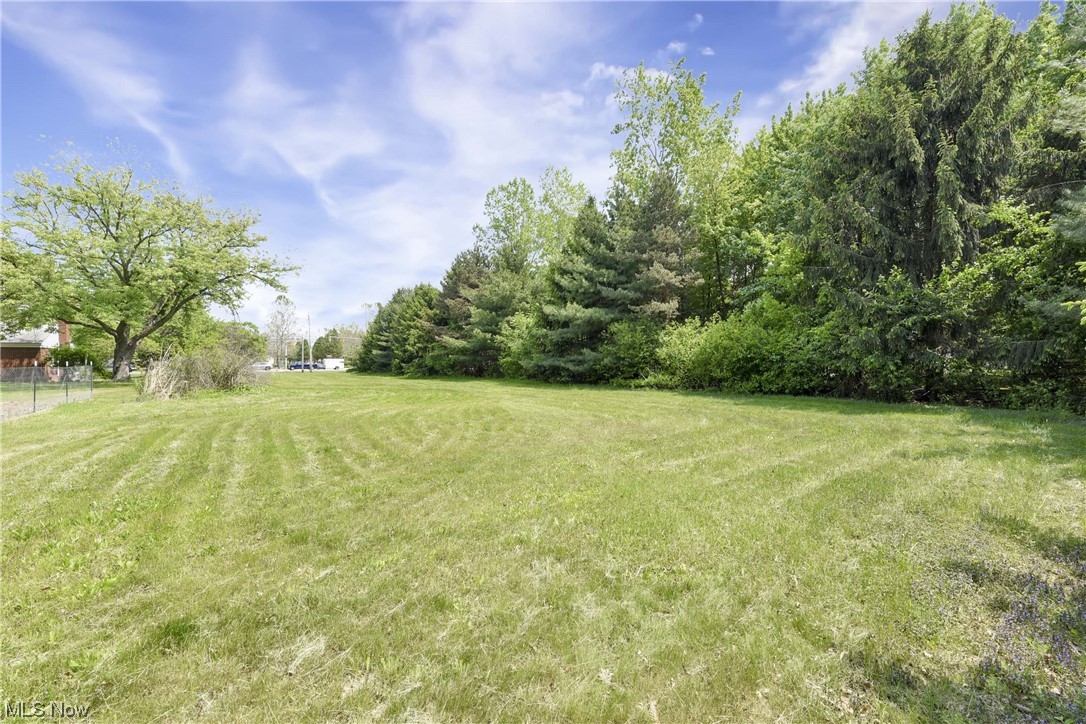 Center Road Avon, OH 44011 - Photo 6 of 8 Gallery Image 6