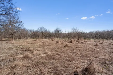 a view of a large outdoor space with green space and fog