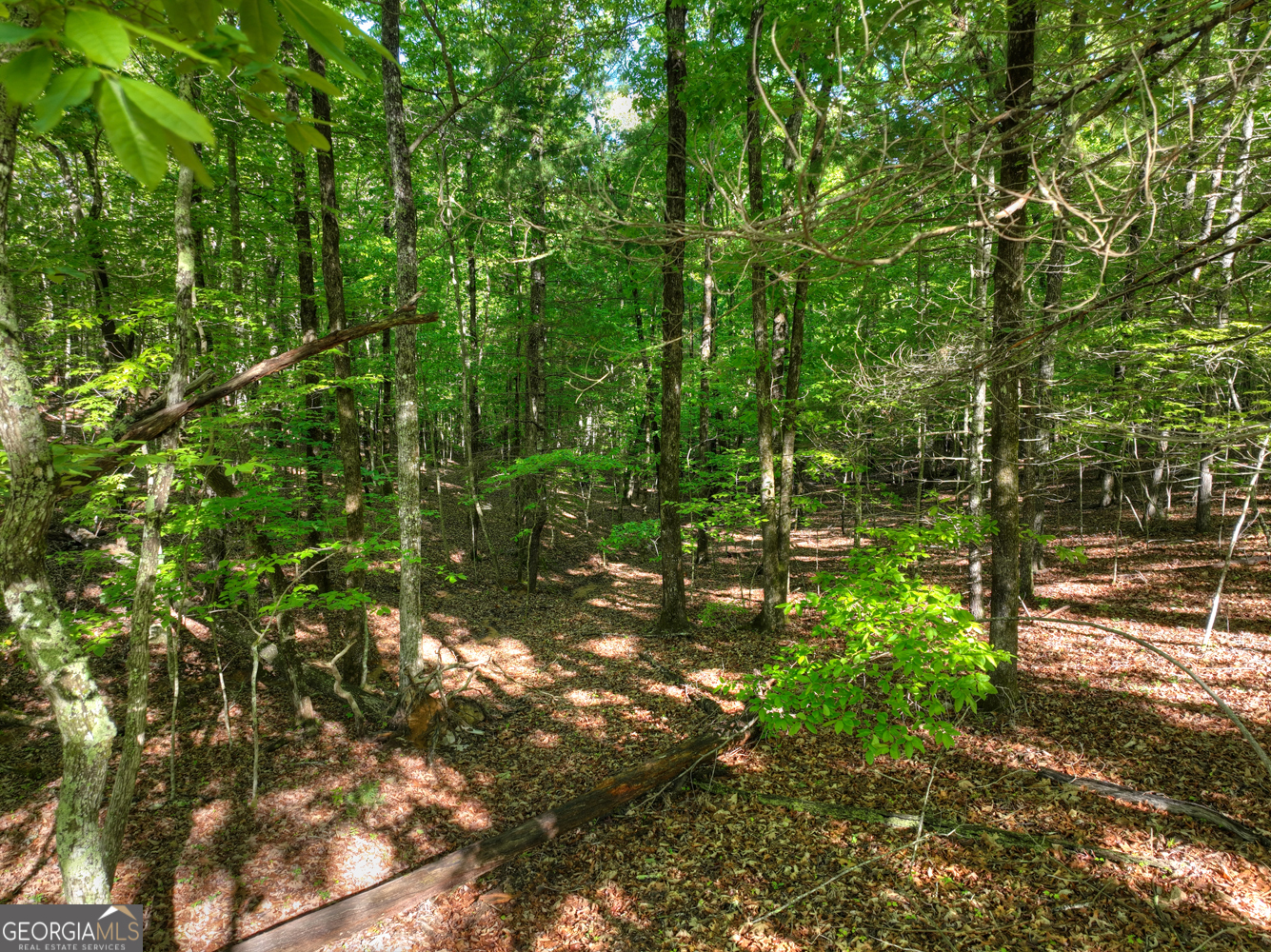 Lot 41 Ridge Drive Morganton, GA 30560 - Photo 10 of 34