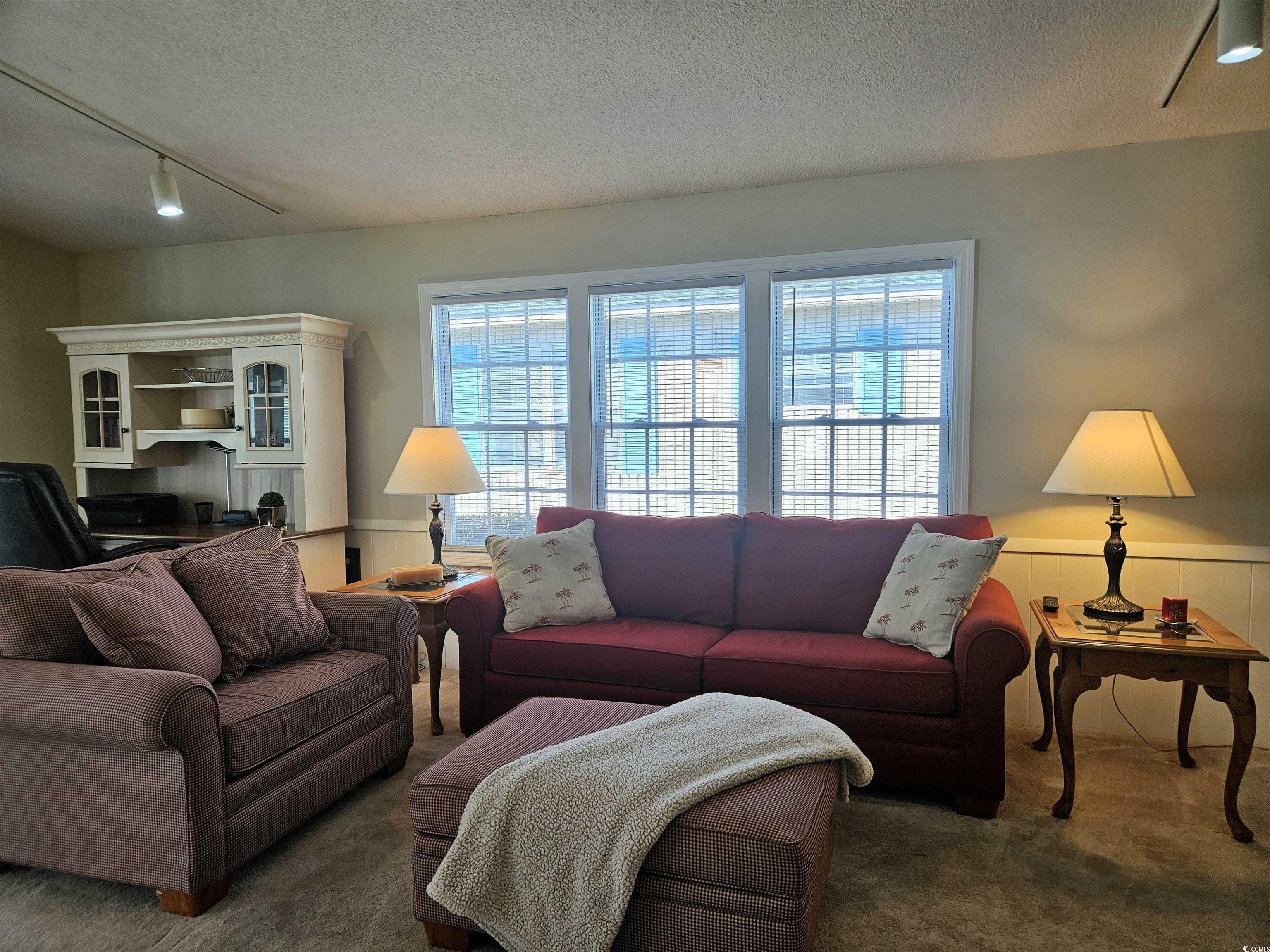 471 Meadowlark Surfside Beach, SC 29575 - Photo 10 of 40 Living area featuring a textured ceiling, track lighting, carpet, and a wainscoted wall