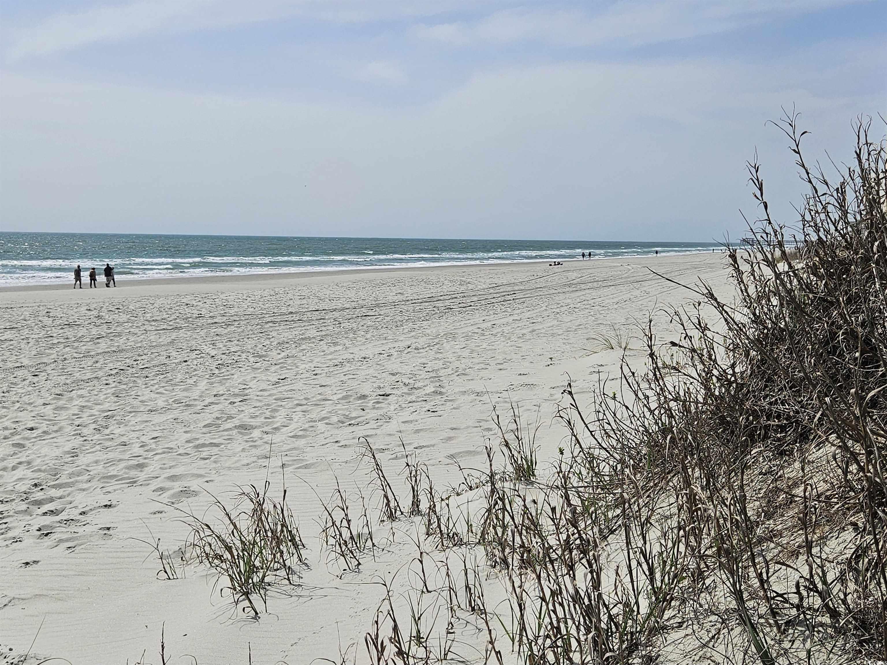 471 Meadowlark Surfside Beach, SC 29575 - Photo 39 of 40 Water view with local beach