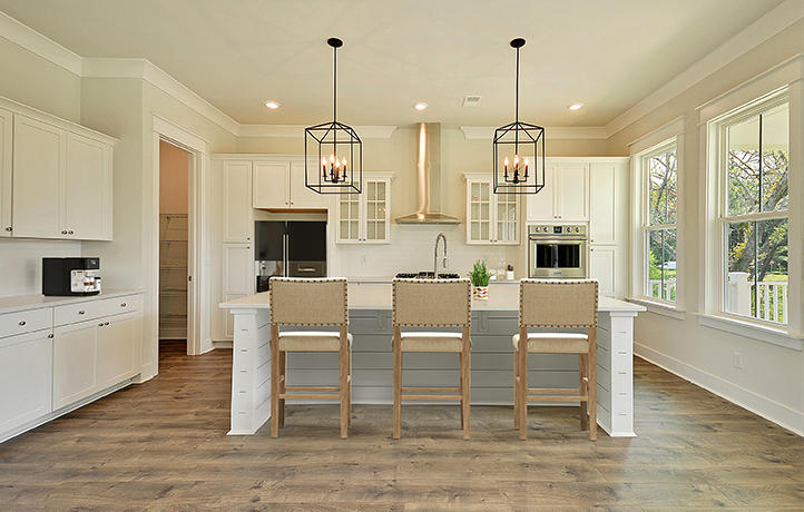 1205 Watuga River Road Johns Island, SC 29455 - Photo 3 of 14 Ashley Kitchen