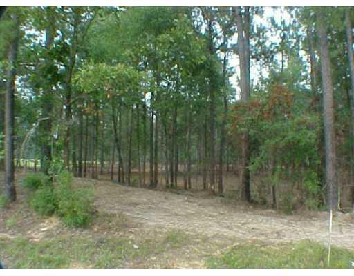 0 Chappepeela Ridge Road Amite, LA 70422 - Photo 1 of 1 Gallery Image 1