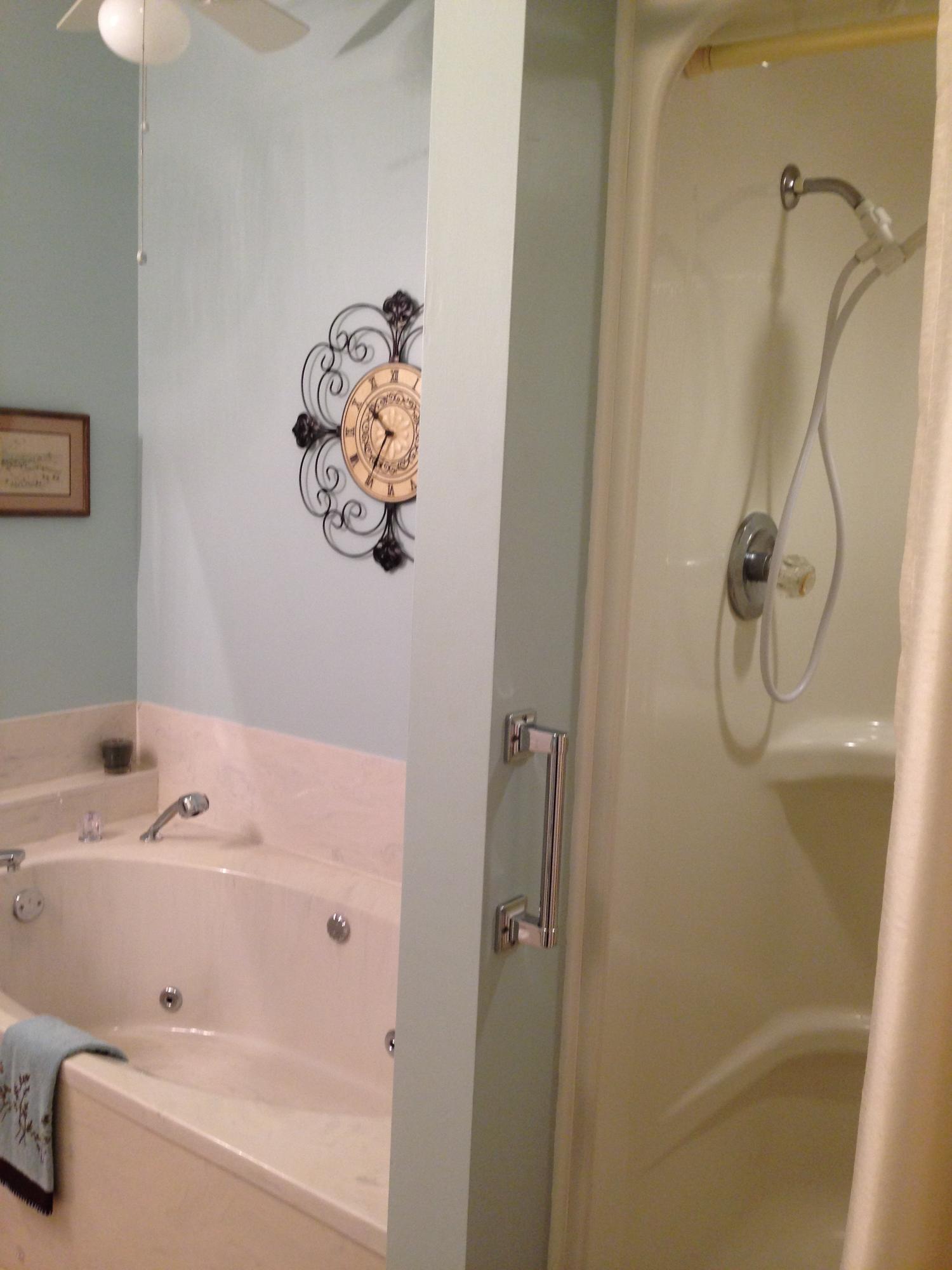 349 Duncan Chapel Road Harleyville, SC 29448 - Photo 19 of 30 MASTER BATH (10'x12') JET TUB & SHWR