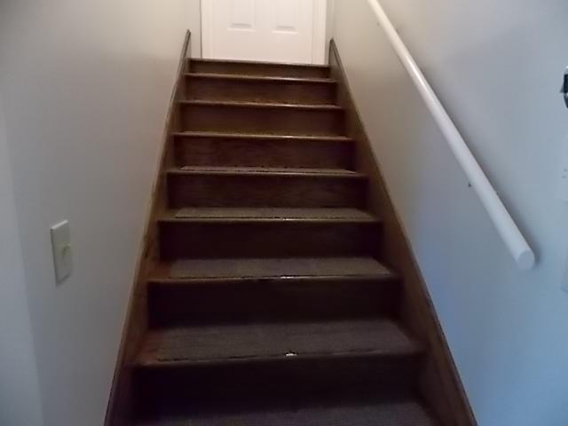 349 Duncan Chapel Road Harleyville, SC 29448 - Photo 29 of 30 STAIRWAY TO FROG (4' WIDE)
