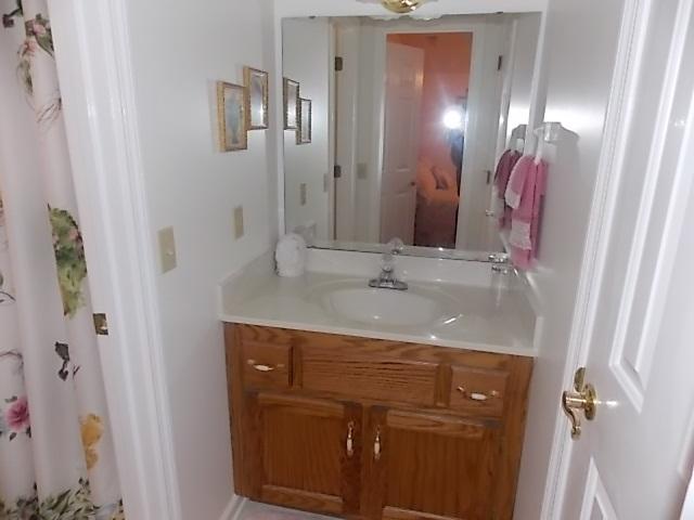 349 Duncan Chapel Road Harleyville, SC 29448 - Photo 9 of 30 JACK & JILL BATH (6'x16')