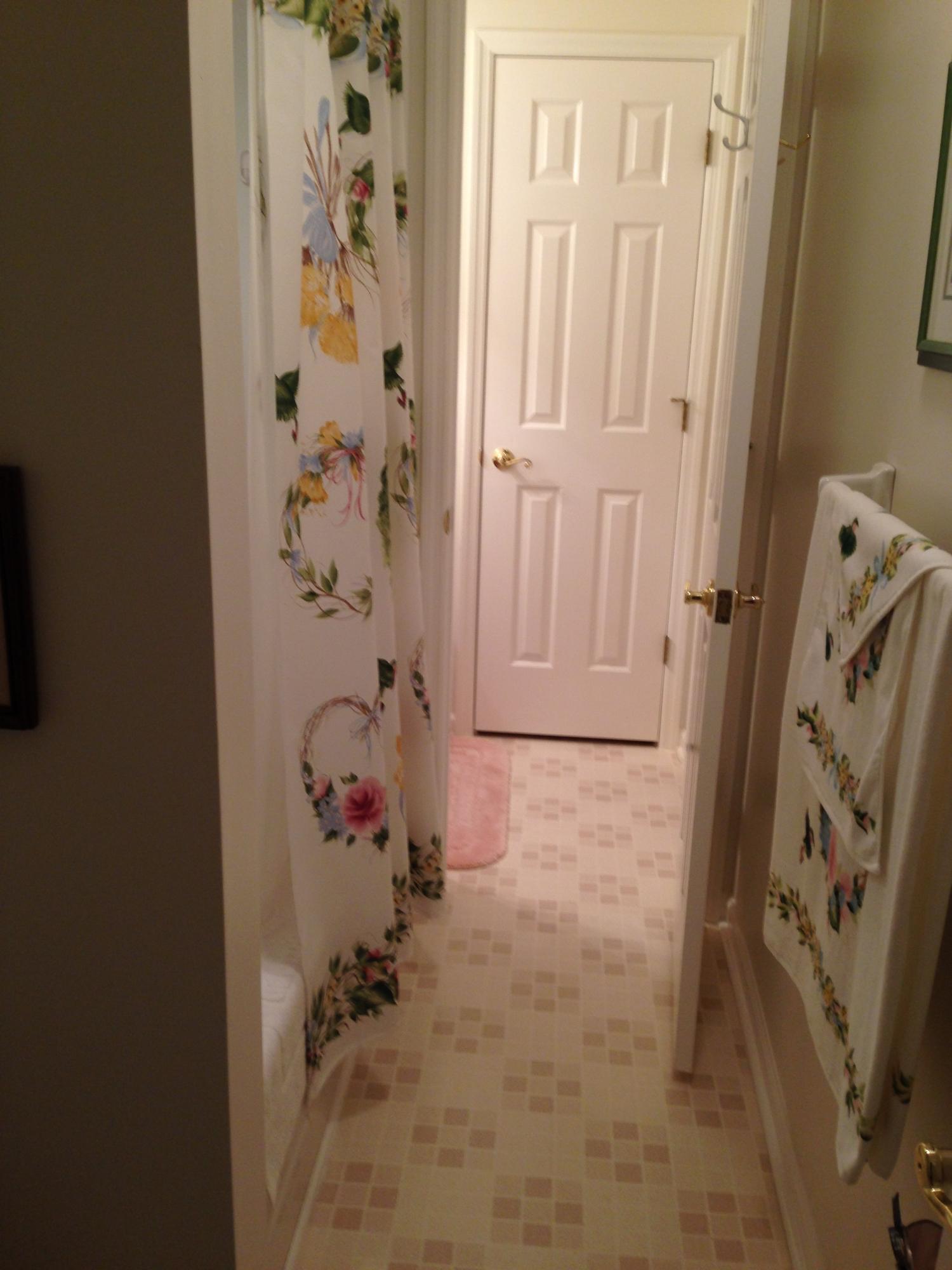 349 Duncan Chapel Road Harleyville, SC 29448 - Photo 10 of 30 JACK & JILL BATH