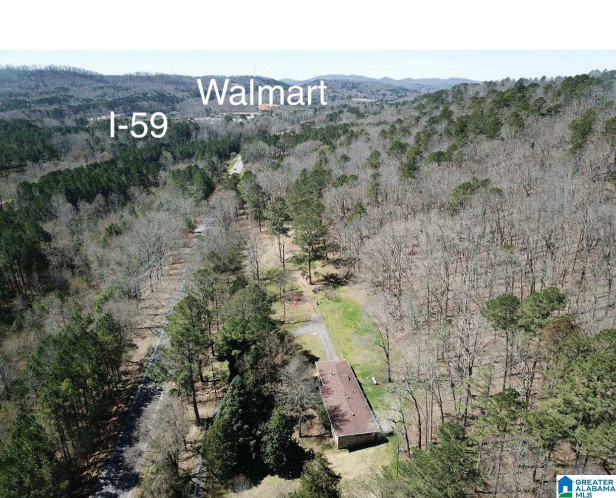 9469 Highway 11 Springville, AL 35146 - Photo 26 of 29