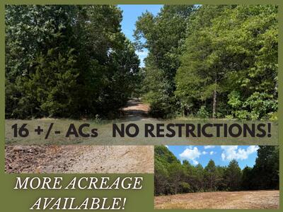 16-ac Spring Valley Road Shell Knob, MO 65747 - Photo 1 of 14 16 +- ACs.png2