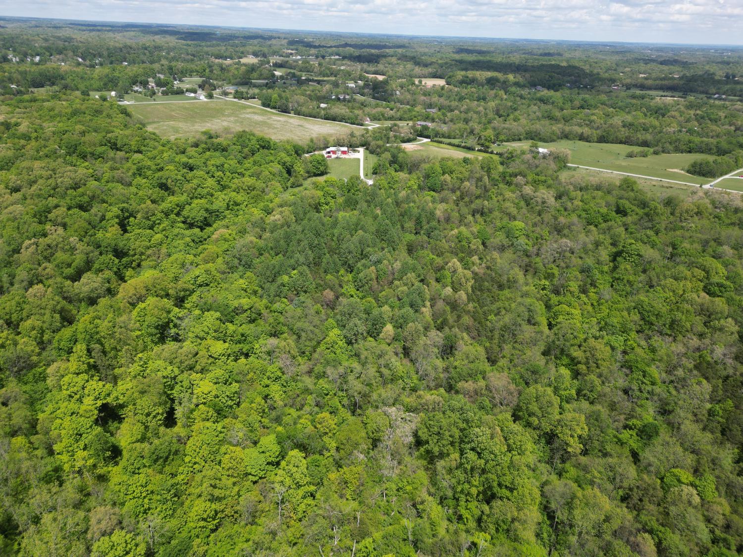 0 Chesterville Road Moores Hill, IN 47032 - Photo 20 of 31