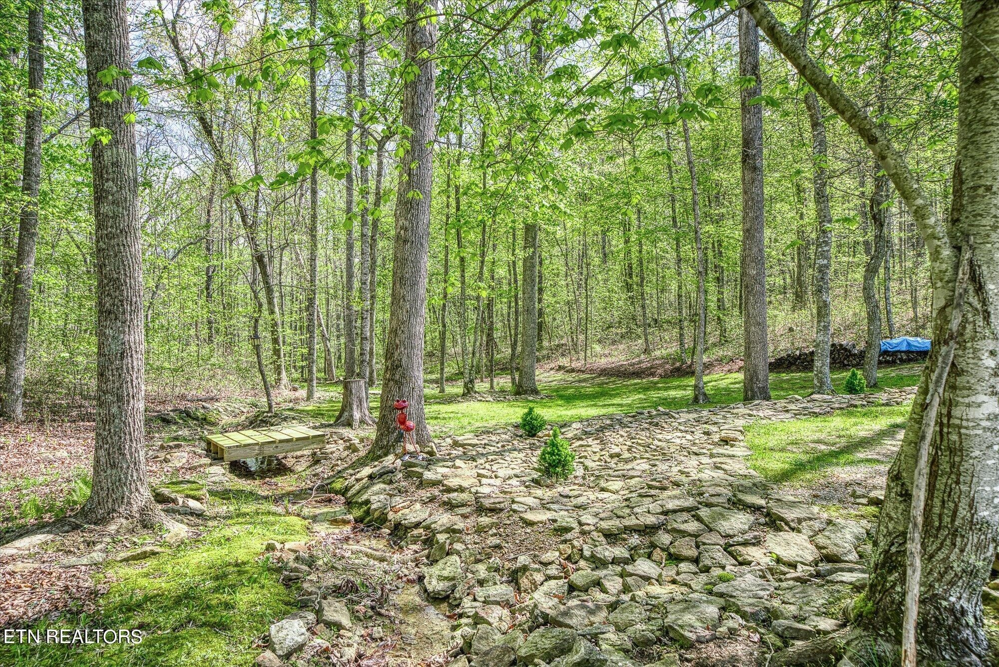 728 Sawmill Road Monterey, TN 38574 - Photo 43 of 57 Gallery Image 43