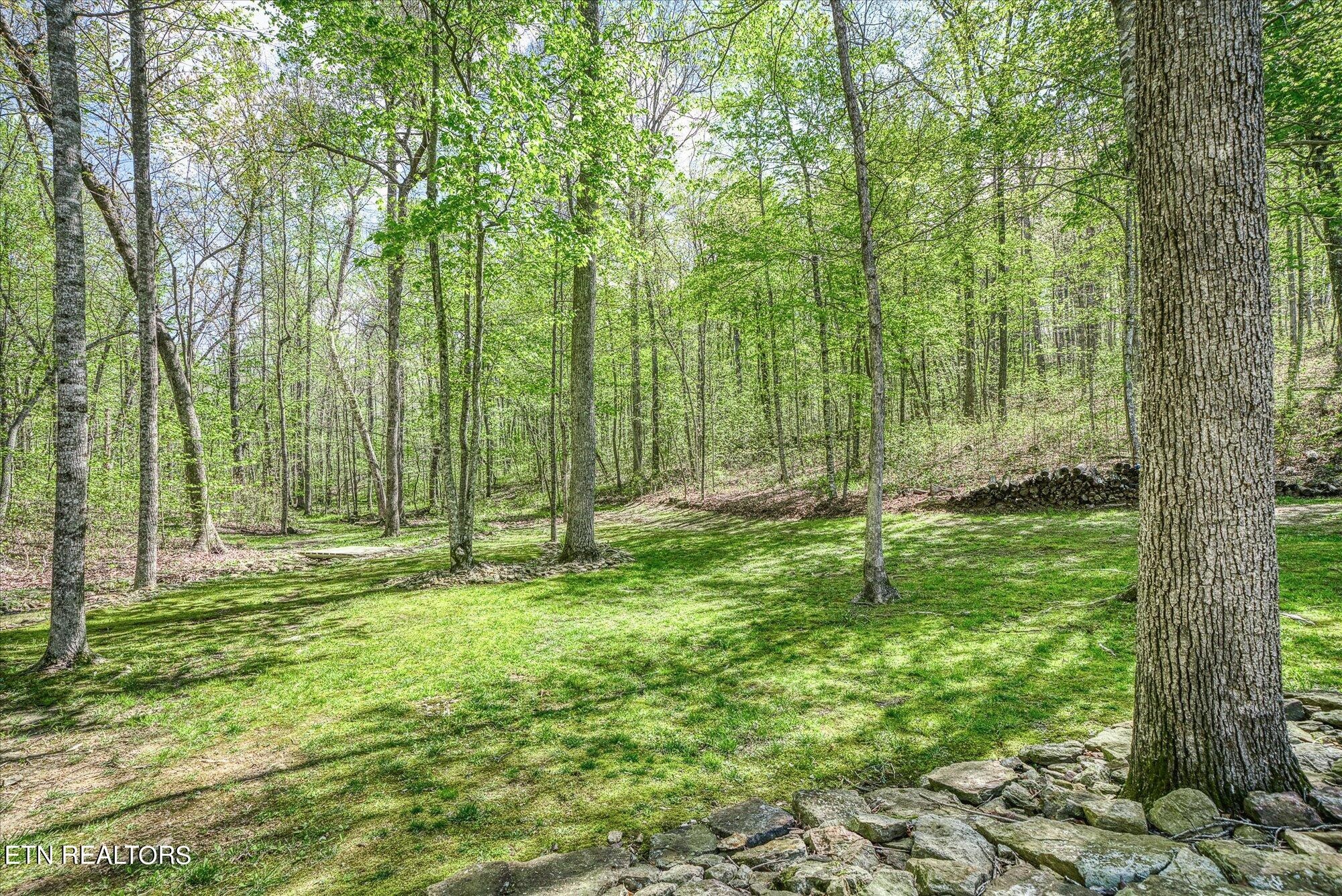 728 Sawmill Road Monterey, TN 38574 - Photo 46 of 57 Gallery Image 46