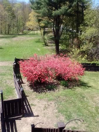20 Old Southbridge Road Dudley, MA 01571 - Photo 29 of 30 Gallery Image 29