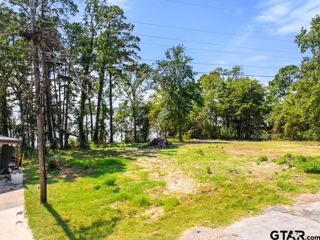 271 Martha Street Bullard, TX 75757 - Photo 14 of 15 a view of a yard with an trees