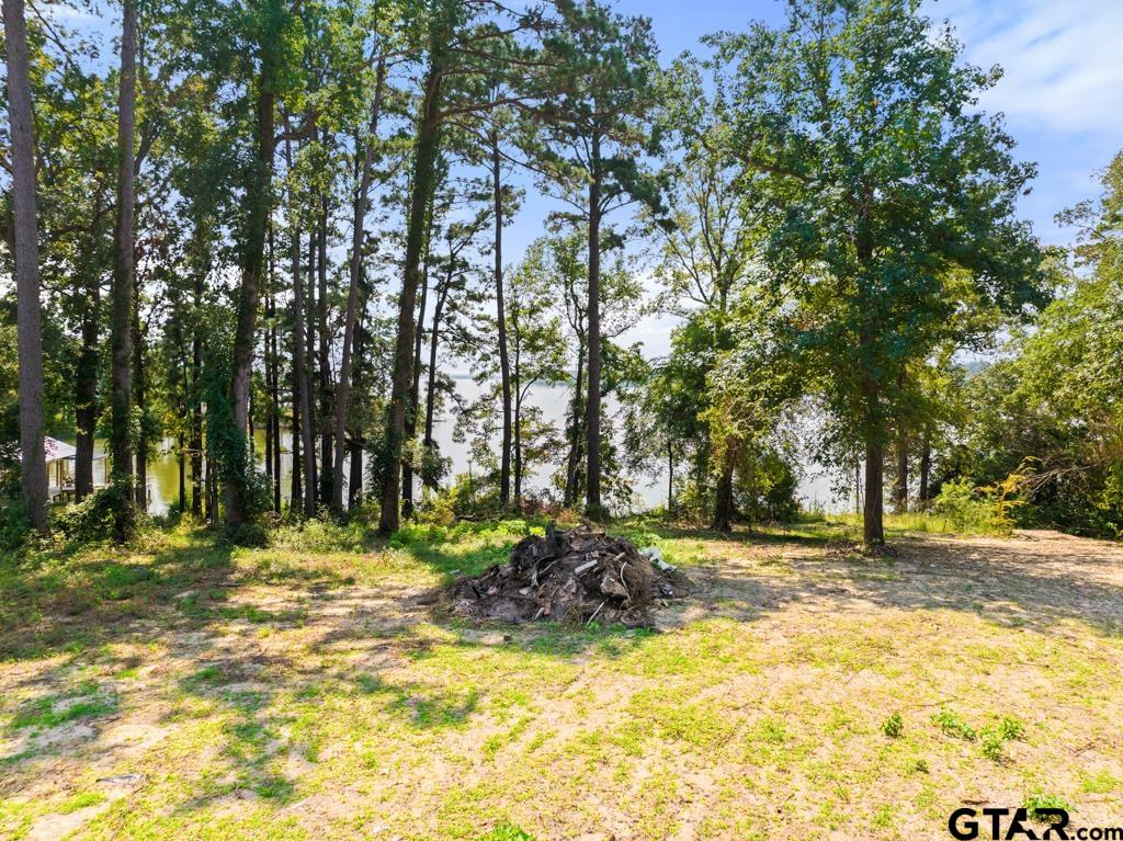 271 Martha Street Bullard, TX 75757 - Photo 15 of 15 a view of outdoor space with trees