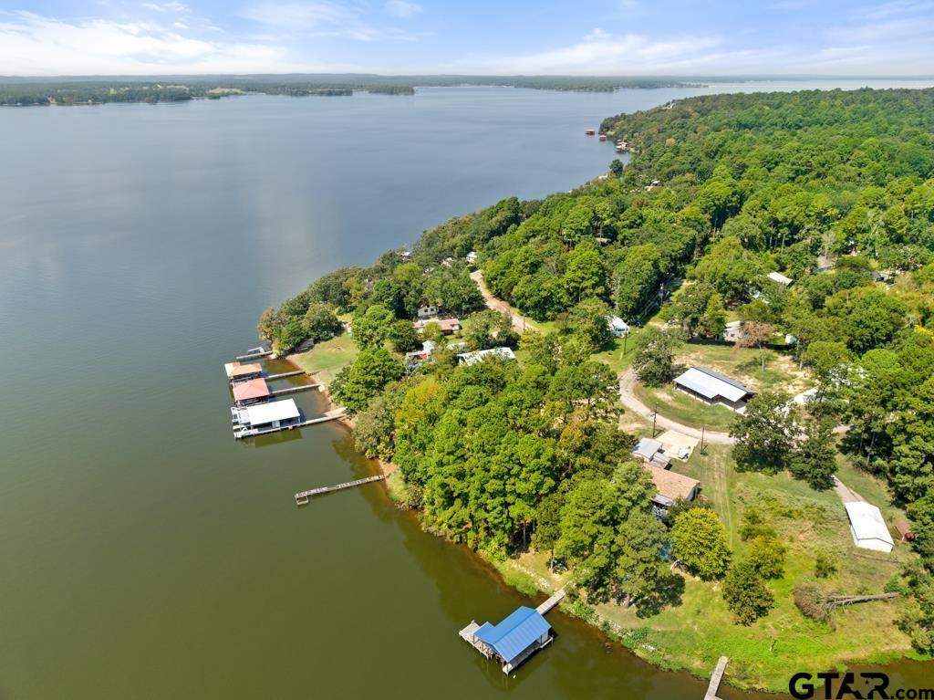 271 Martha Street Bullard, TX 75757 - Photo 3 of 15 a view of a lake with a lake