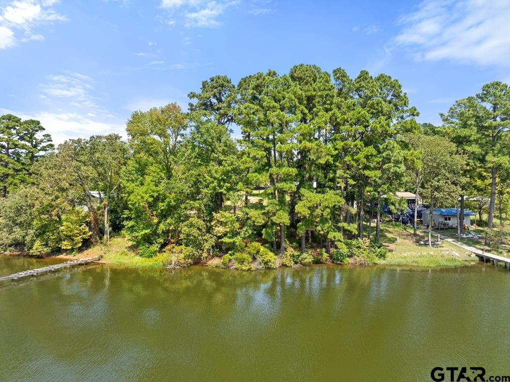 271 Martha Street Bullard, TX 75757 - Photo 5 of 15 a view of a lake with houses