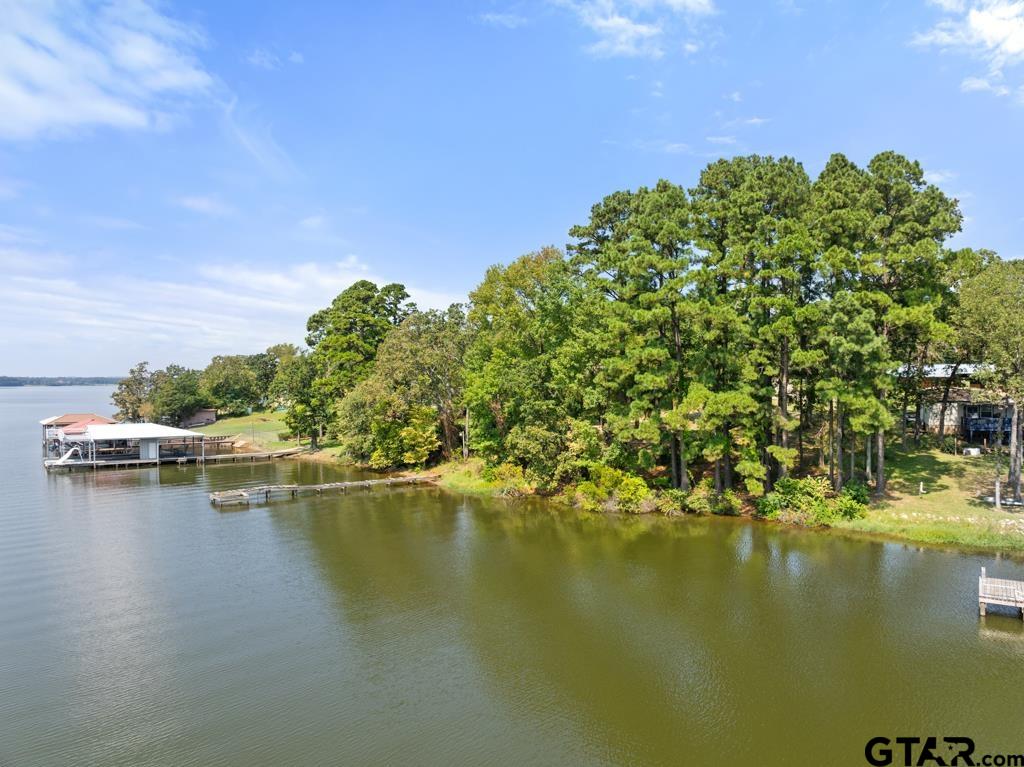 271 Martha Street Bullard, TX 75757 - Photo 6 of 15 a view of lake view
