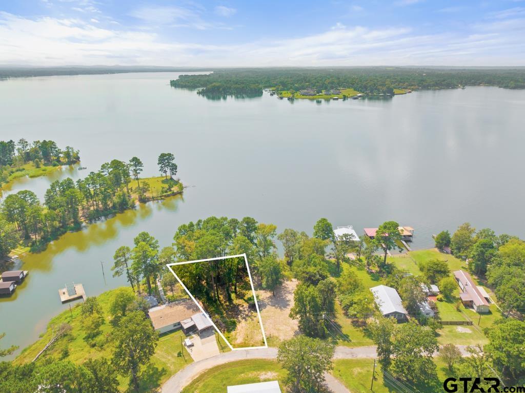 271 Martha Street Bullard, TX 75757 - Photo 8 of 15 a view of a lake with a houses in the back