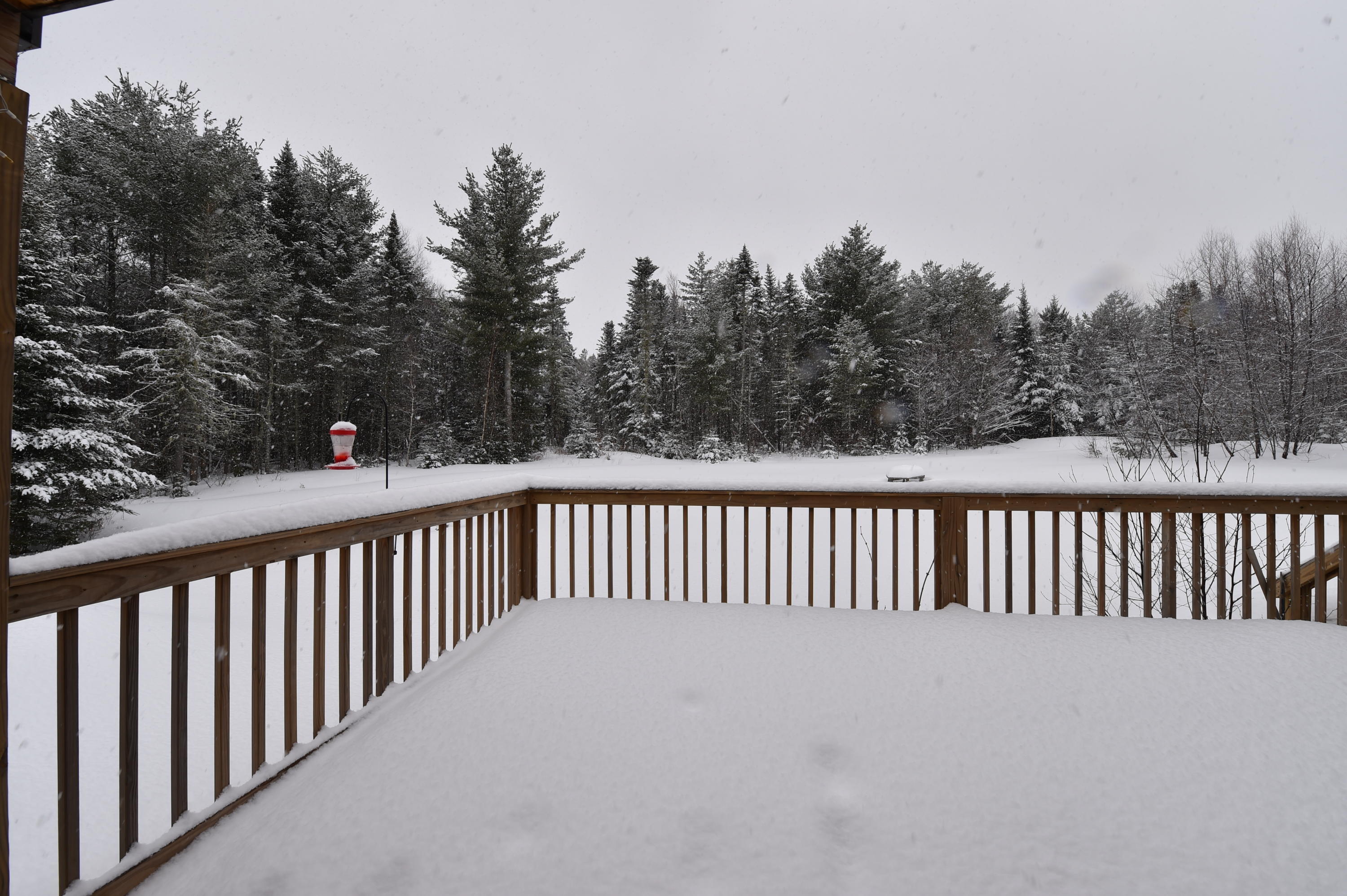 645 Transalpine Road Lincoln, ME 04457 - Photo 35 of 42 DSC_4249
