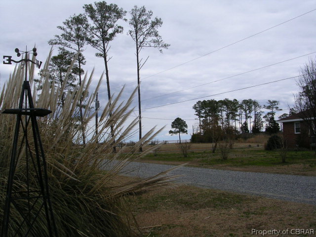 301 Beaumar Road Moon, VA 23119 - Photo 4 of 25 a view of a yard with an trees