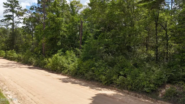 $150,000 | 0 East E Highway, Bonifay, FL 32425