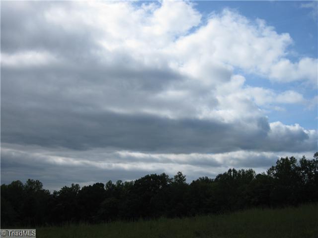 8890 Colgate Road Stokesdale, NC 27357 - Photo 3 of 8 Land.