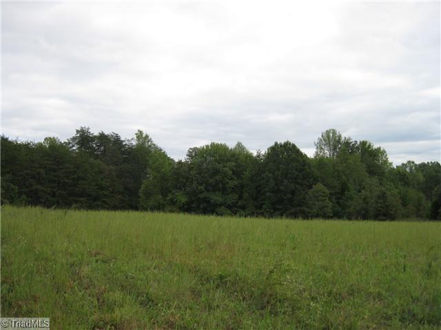 8890 Colgate Road Stokesdale, NC 27357 - Photo 8 of 8 Land.