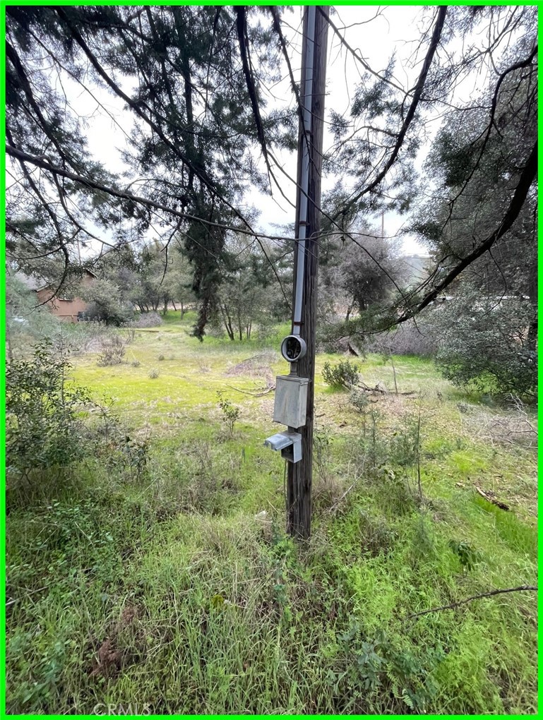 13672 Fair Oak Road Clearlake, CA 95422 - Photo 4 of 10 a fire hydrant in the middle of a field