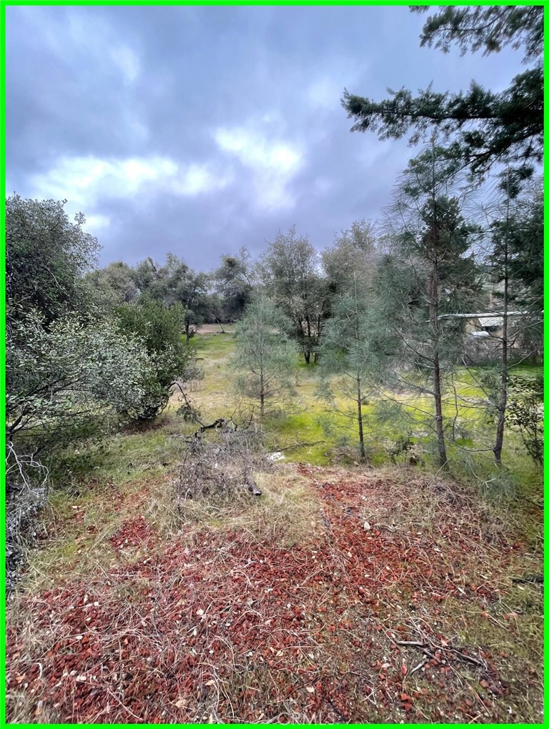 13672 Fair Oak Road Clearlake, CA 95422 - Photo 5 of 10 a view of a lake with a yard