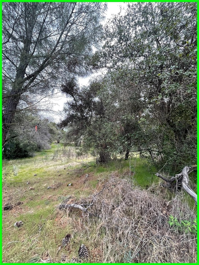 13672 Fair Oak Road Clearlake, CA 95422 - Photo 6 of 10 a backyard of a house with a yard and outdoor seating
