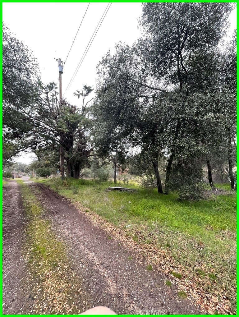 13672 Fair Oak Road Clearlake, CA 95422 - Photo 8 of 10 a view of a yard with a tree