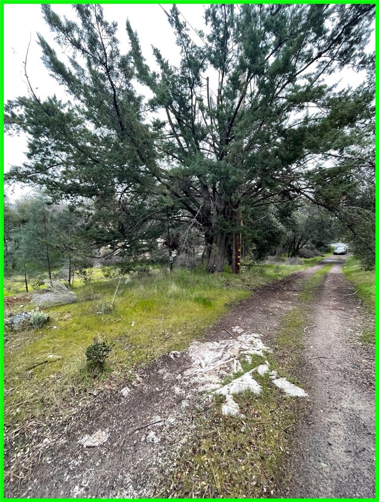 13672 Fair Oak Road Clearlake, CA 95422 - Photo 10 of 10 a view of a yard with a tree