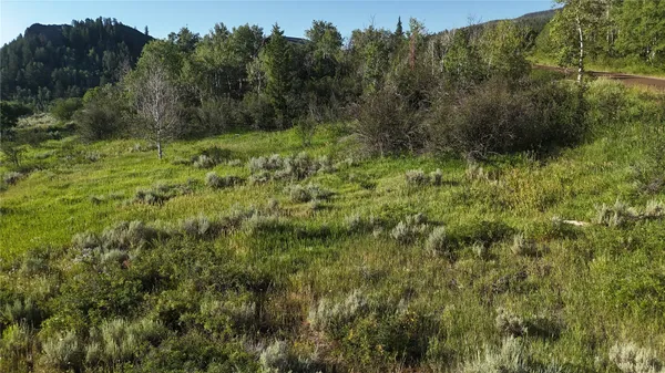 $215,000 | 31145 Broken Talon Trail, Oak Creek, CO 80467