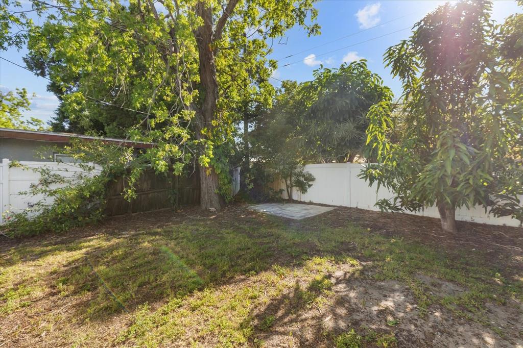 12432 136th Lane Largo, FL 33774 - Photo 22 of 24 a view of a yard with plants and trees