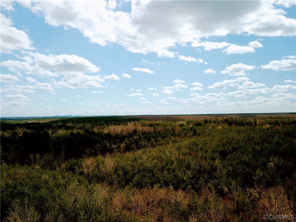 Lot 2 Midland Road Wingina, VA 24599 - Photo 5 of 10