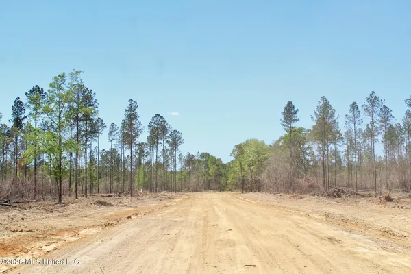 $54,900 | 3.67-ac Cottonwood Drive, Lucedale, MS 39452