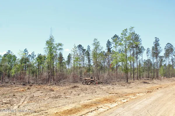 $54,900 | 3.67-ac Cottonwood Drive, Lucedale, MS 39452