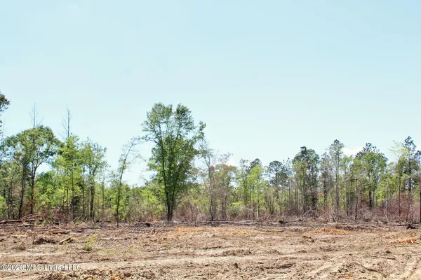 $54,900 | 3.67-ac Cottonwood Drive, Lucedale, MS 39452