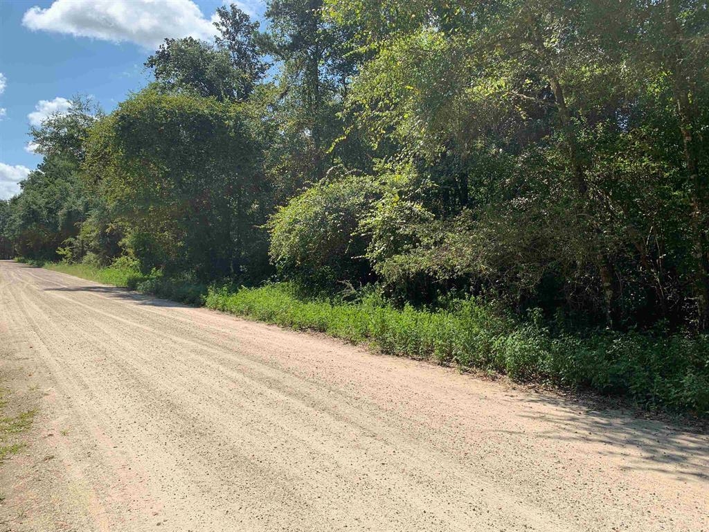 0 Parramore Shores Road Tallahassee, FL 32310 - Photo 3 of 10