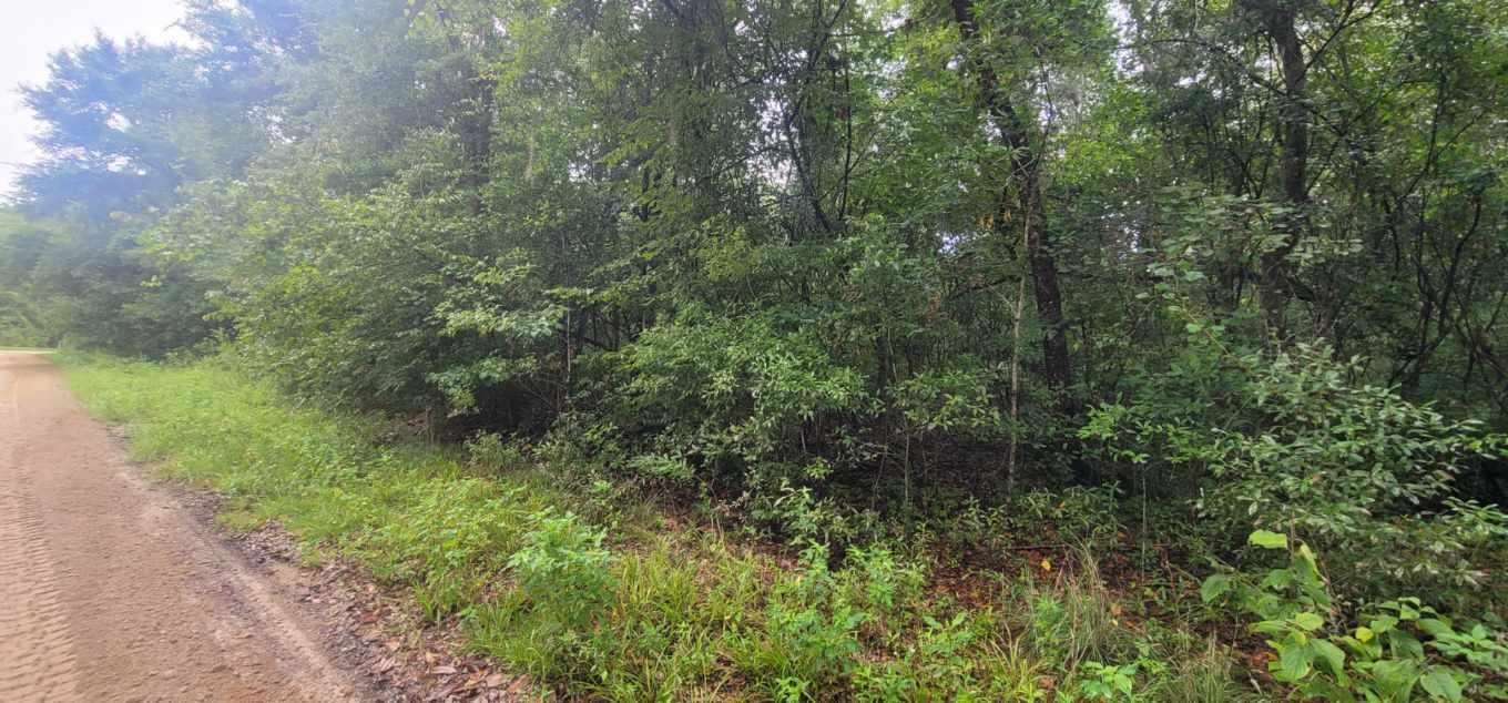 0 Parramore Shores Road Tallahassee, FL 32310 - Photo 5 of 10