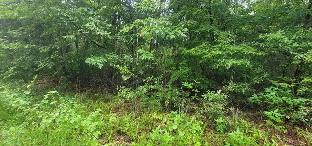 $32,000 | 0 Parramore Shores Road, Tallahassee, FL 32310