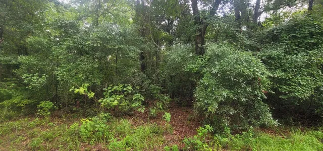 $32,000 | 0 Parramore Shores Road, Tallahassee, FL 32310