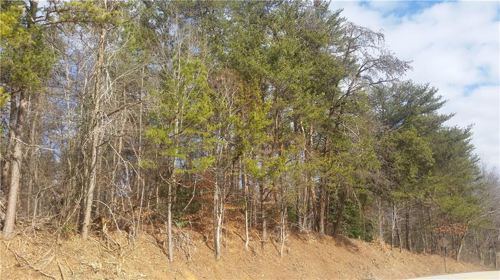 7577 Bill Wilson Road Alto, GA 30510 - Photo 1 of 1
