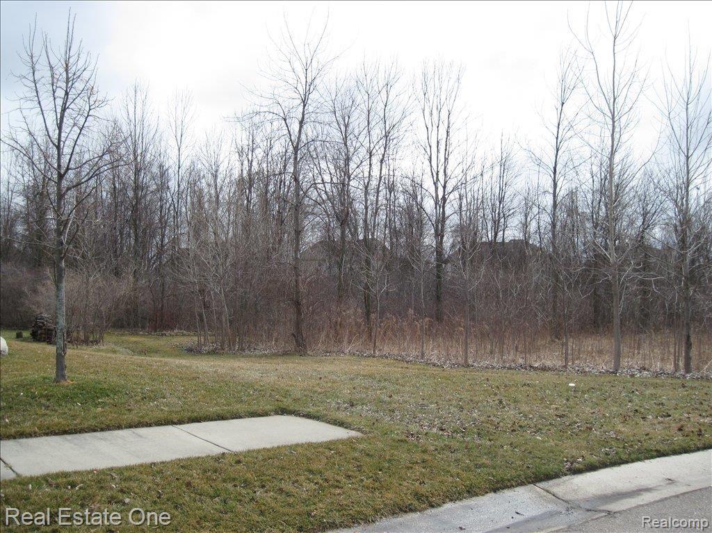 2041 Somerville Road Rochester, MI 48307 - Photo 20 of 20 Premium area of subdivision