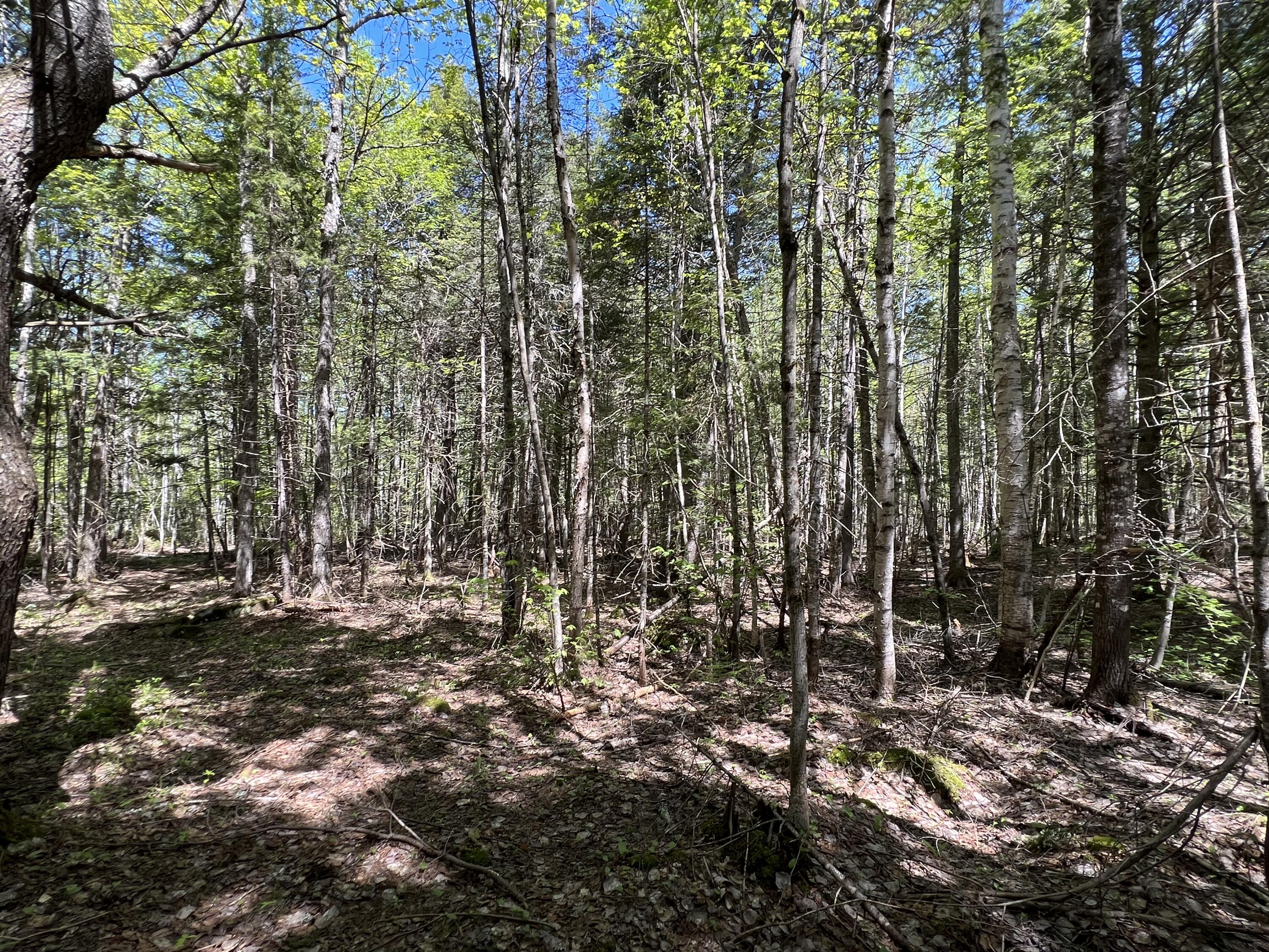 Lot 30 Mountain Road Linneus, ME 04730 - Photo 12 of 24 EFA93699-CDC7-4E8C-890D-374EB7E69C95