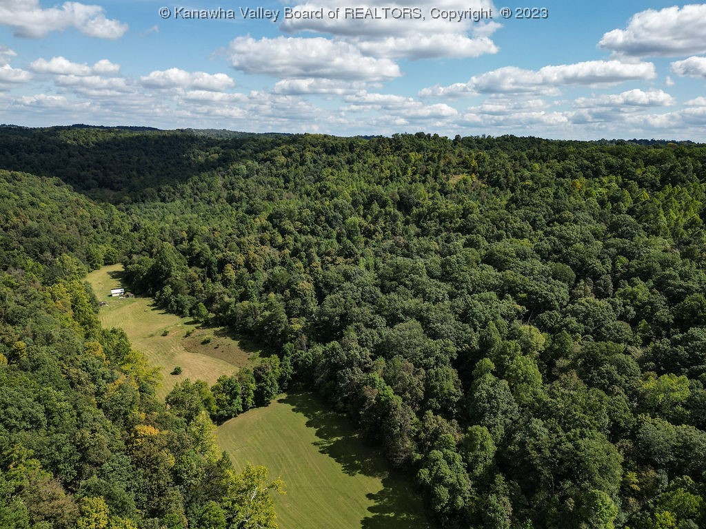 1150 Grandy Road Ravenswood, WV 26164 - Photo 11 of 22 Gallery Image 11